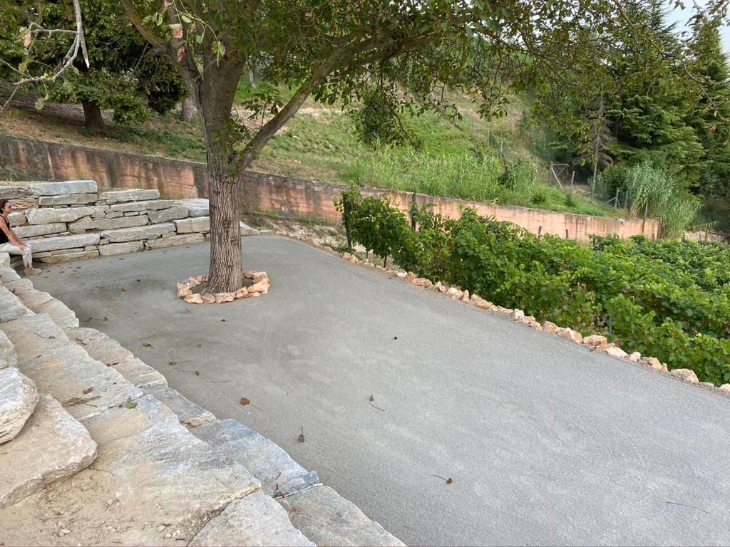 Giarvino Boutique Guest House Acqui Terme Buitenkant foto